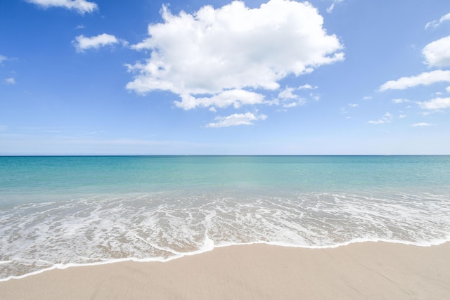 water view featuring a beach view