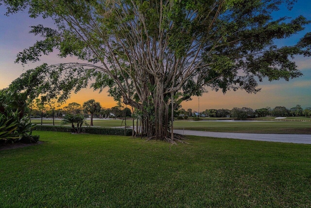 view of yard at dusk