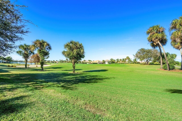 view of home's community with a yard