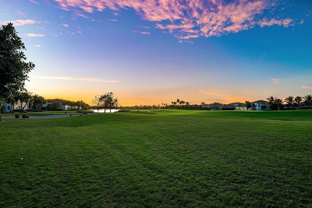 view of community with a lawn