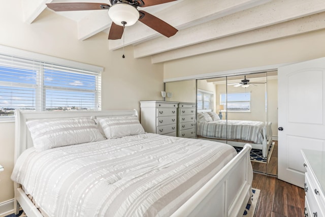 bedroom with a closet, ceiling fan, and dark hardwood / wood-style flooring