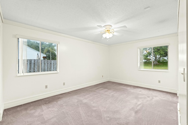 carpeted empty room featuring ceiling fan, ornamental molding, and a textured ceiling