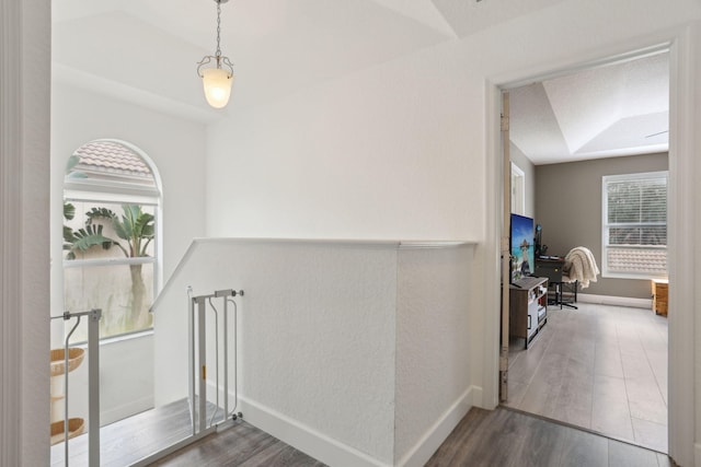 hall featuring a raised ceiling and wood-type flooring