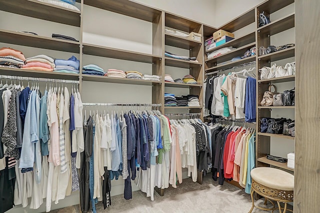 spacious closet with carpet floors