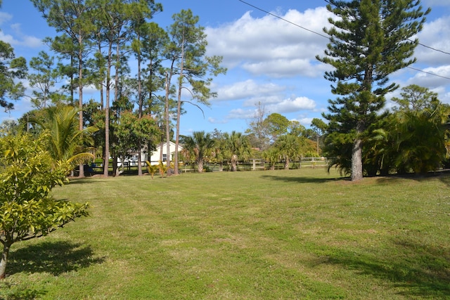 view of yard