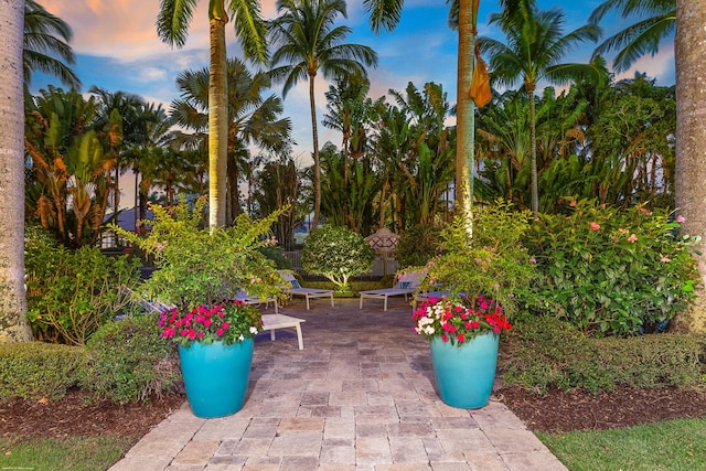 view of patio terrace at dusk