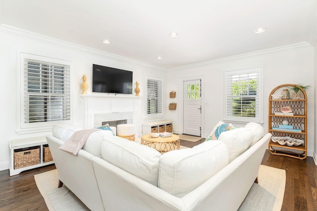 living room with ornamental molding and dark hardwood / wood-style floors