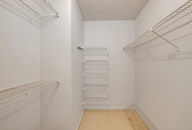 view of walk in closet