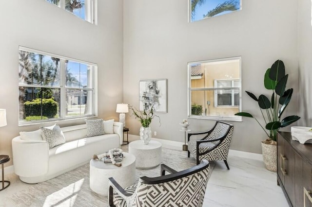 living room featuring a high ceiling