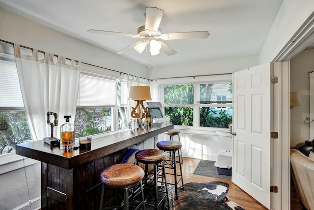 interior space featuring ceiling fan, hardwood / wood-style flooring, and indoor bar