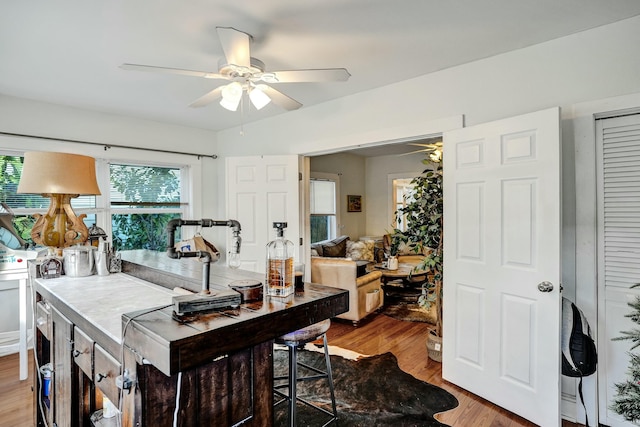 home office with hardwood / wood-style flooring and ceiling fan