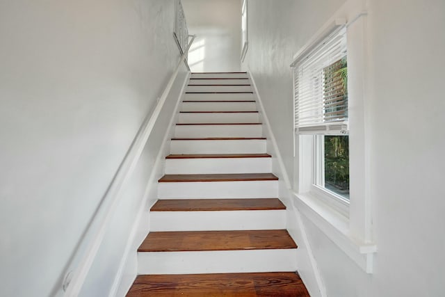 stairs featuring plenty of natural light