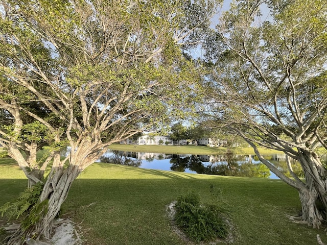 view of yard featuring a water view