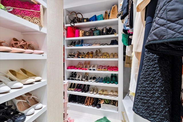 view of walk in closet