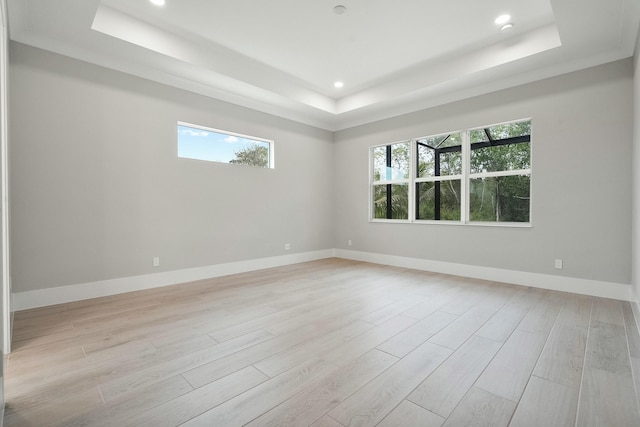 unfurnished room featuring a raised ceiling, a wealth of natural light, and light hardwood / wood-style flooring