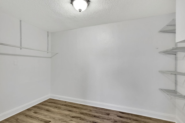 walk in closet featuring wood finished floors