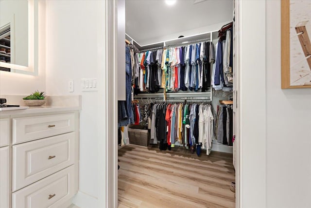 spacious closet featuring light wood-type flooring