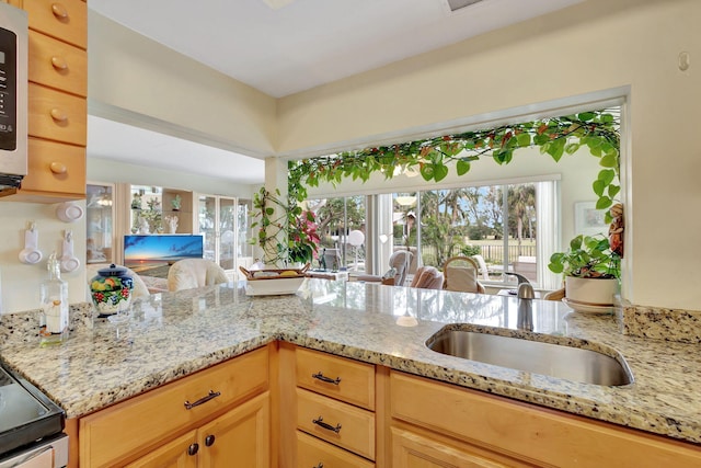 kitchen featuring light stone countertops, sink, and light brown cabinetry