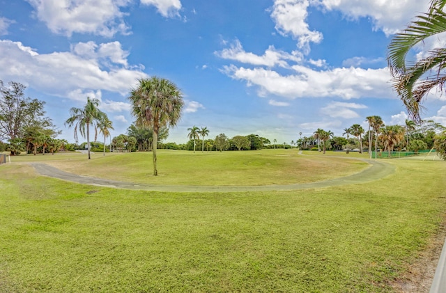 view of property's community with a yard