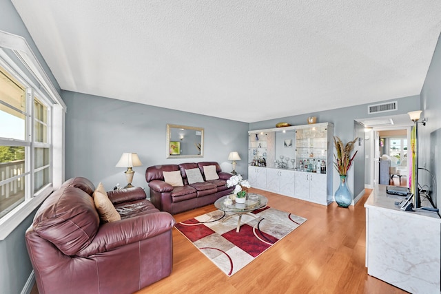 living room featuring hardwood / wood-style flooring and a textured ceiling