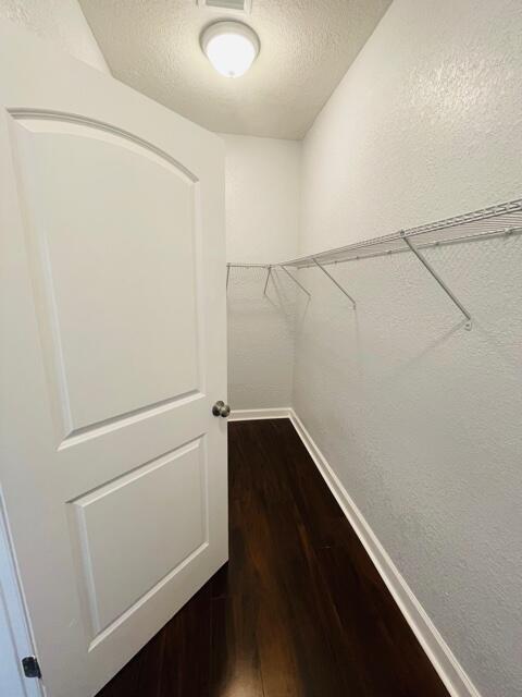 spacious closet with wood-type flooring