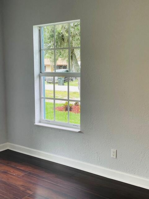 spare room featuring dark hardwood / wood-style flooring and a wealth of natural light