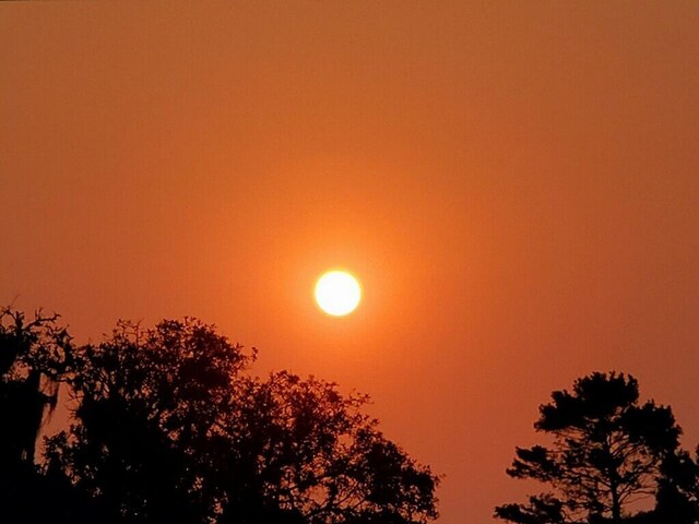 view of nature at dusk