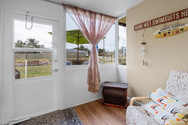 entryway featuring hardwood / wood-style flooring