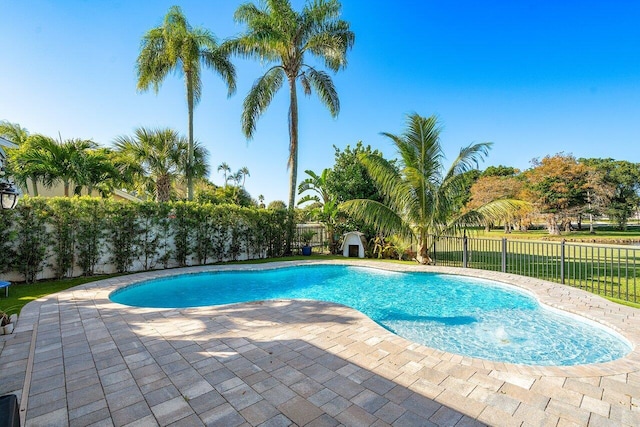 view of pool with a patio area