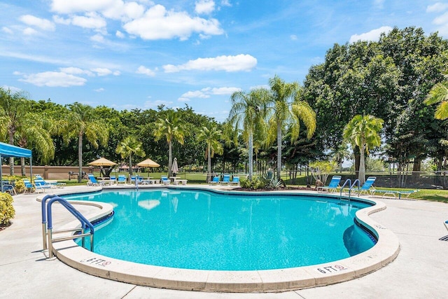 view of pool featuring a patio