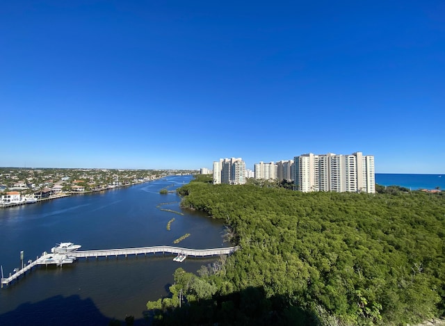 aerial view with a water view