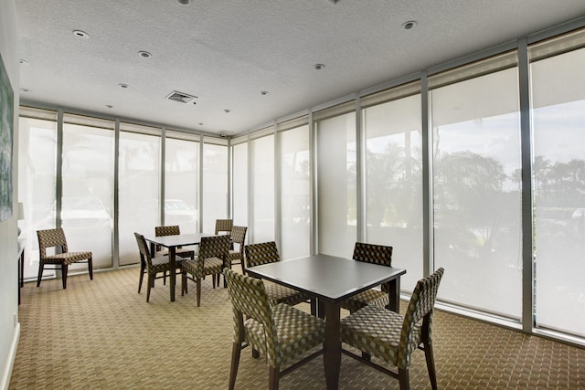 sunroom featuring a healthy amount of sunlight