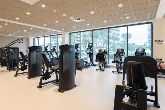 exercise room with a healthy amount of sunlight, a paneled ceiling, and expansive windows