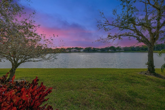 water view