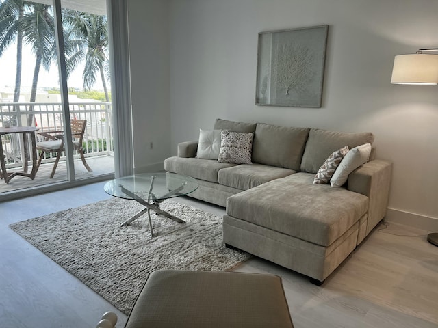 living room with light wood-type flooring