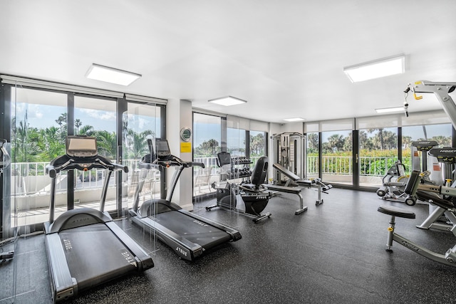 gym featuring a wall of windows