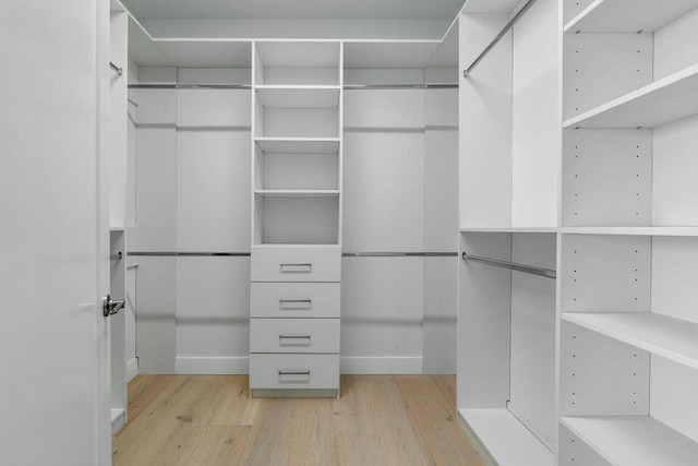 spacious closet with light hardwood / wood-style flooring