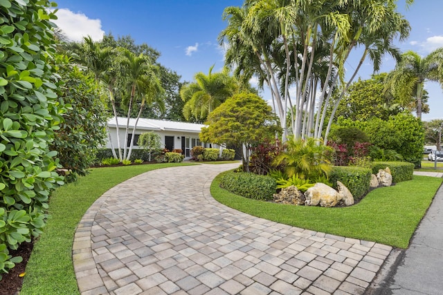 view of front of property featuring a front lawn