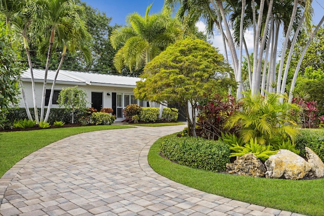 view of front of house featuring a front yard