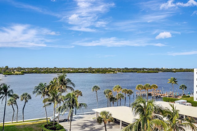 property view of water featuring a boat dock