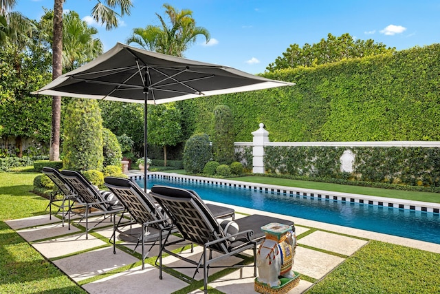 view of pool featuring a lawn and a patio