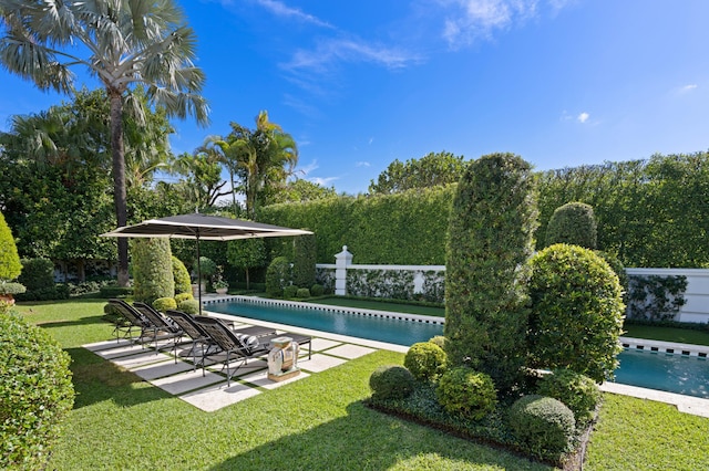 view of pool with a patio area and a yard