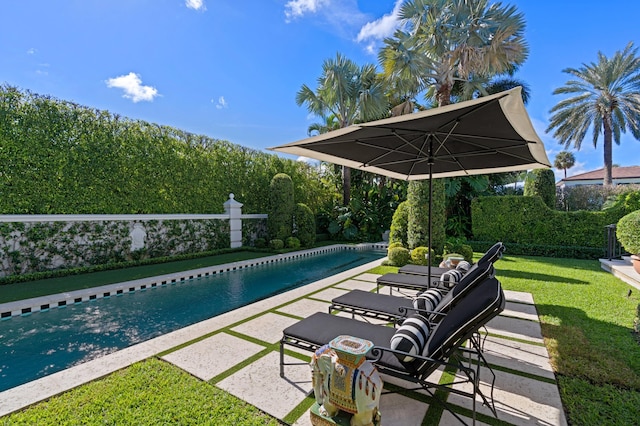 view of pool with a yard and a patio