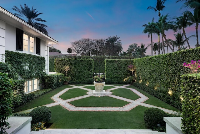 view of yard at dusk