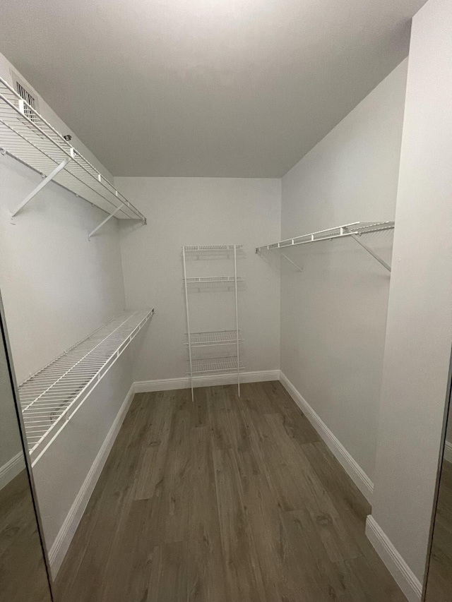 walk in closet featuring dark hardwood / wood-style flooring