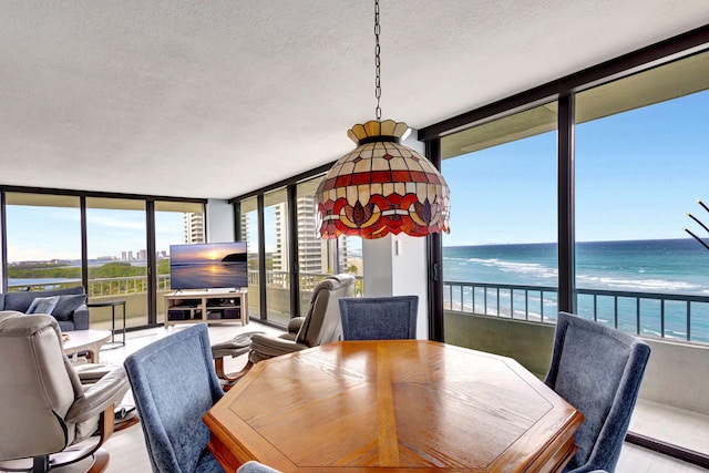 dining area with plenty of natural light, a textured ceiling, and light hardwood / wood-style flooring