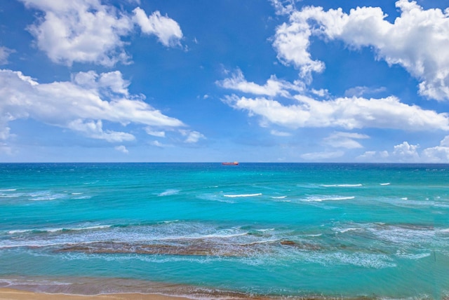 water view with a view of the beach