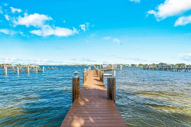 dock area with a water view