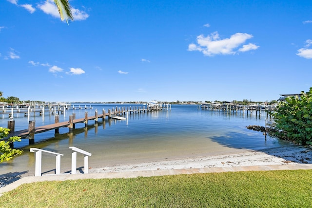 dock area featuring a water view