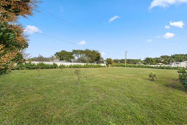 view of yard with a rural view